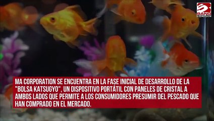 Empresa desarrolla una pecera portátil para mantener vivos a los mariscos