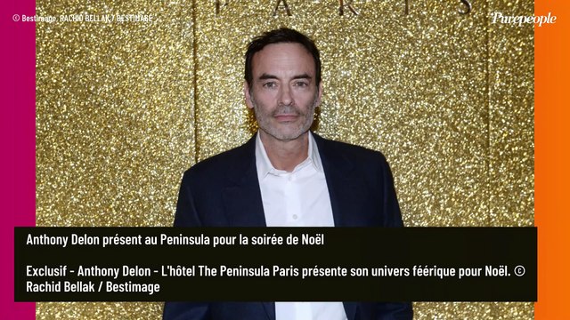 PHOTOS Anthony Delon plongé dans la magie de Noël, Tomer Sisley amoureux et Laurence Ferrari enchantée