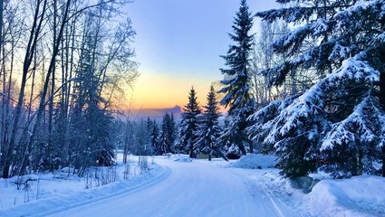 These U.S. Destinations Are Most Likely to Have a White Christmas in 2023