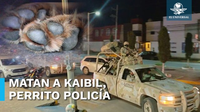 Narco mata a perrito policía en Fresnillo durante el ataque a jefe policíaco