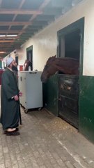 Ateistler buna ne diyecek! At zikir çekti