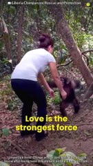 Unlocking Love Lessons: Animals Teach Us Love ❤️