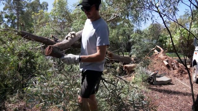 Alice Springs continues clean up after a fierce thunderstorm