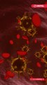 “Mycoplasma”, la principal sospecha del brote de neumonía en China. Desde mediados de octubre de 2023, la  OMS ha observado un aumento inusual de enfermedades respiratorias sin diagnosticar, similares a la neumonía, en niños en el norte de China