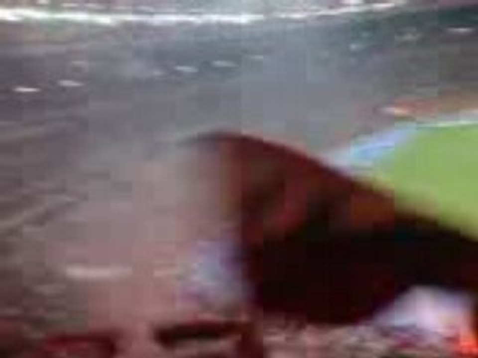 PSG LENS BUUUUUUTTTT!!!!