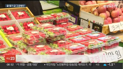 겨울 제철 과일 맞나?…귤·딸기 가격 급등