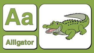 Learn English alphabet a to z with Animals names picture | A for alligator