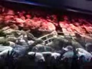 PSG LENS COMPOSITIONS