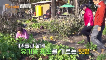 혈당은 낮추고 영양은 높인 건강 밥상! 당뇨를 극복한 그녀의 건강 비법은?