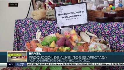 Agricultores brasileños alertan sobre el efecto de la crisis climática en la producción de alimentos