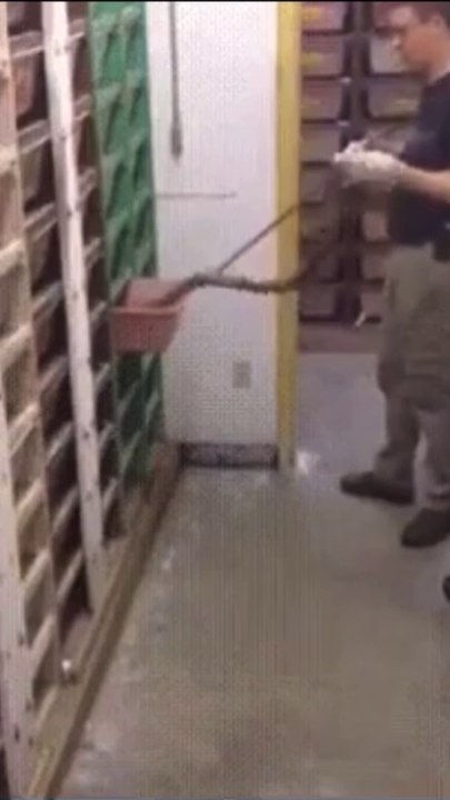 What does this man do?