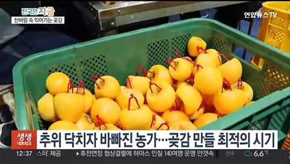 임금님도 반한 맛…경남 산청은 지금 곶감 말리기 한창