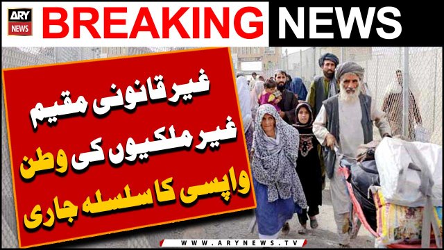 Repatriation of illegal aliens continues