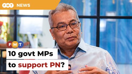 More than 10 govt MPs set to support PN, claims Bersatu man