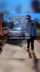 Funny cat dog animals compilation animal videos on Instagram Tiktok