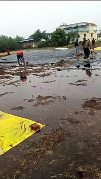 #Weather जबलपुर में पिछले 24 घंटे में 14.8 मिमी बारिश - देखें वीडियो