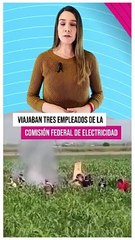 Trabajadores de la CFE murieron en un accidente aéreo en el municipio de Cuautla, Morelos #TuNotiReel