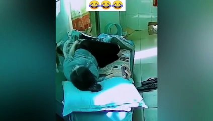 New Funny Videos 2023  Cutest Cats and Dogs 