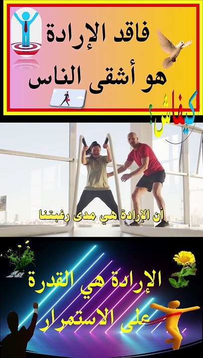 الأرادة هي القدرة على الاستمرار