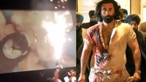 Animal Film Ranbir Bobby Scene पर Inside Theatre Firecracker करते Fans FULL VIDEO, Public Reaction