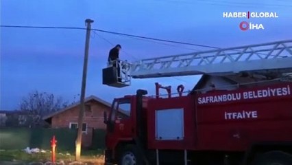 Köpekten kaçan kediye mahsur kaldığı yerde operasyon