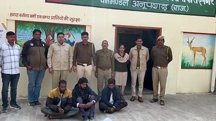हिरण का शिकार करने के तीन आरोपी गिरफ्तार, जेल भेजा
