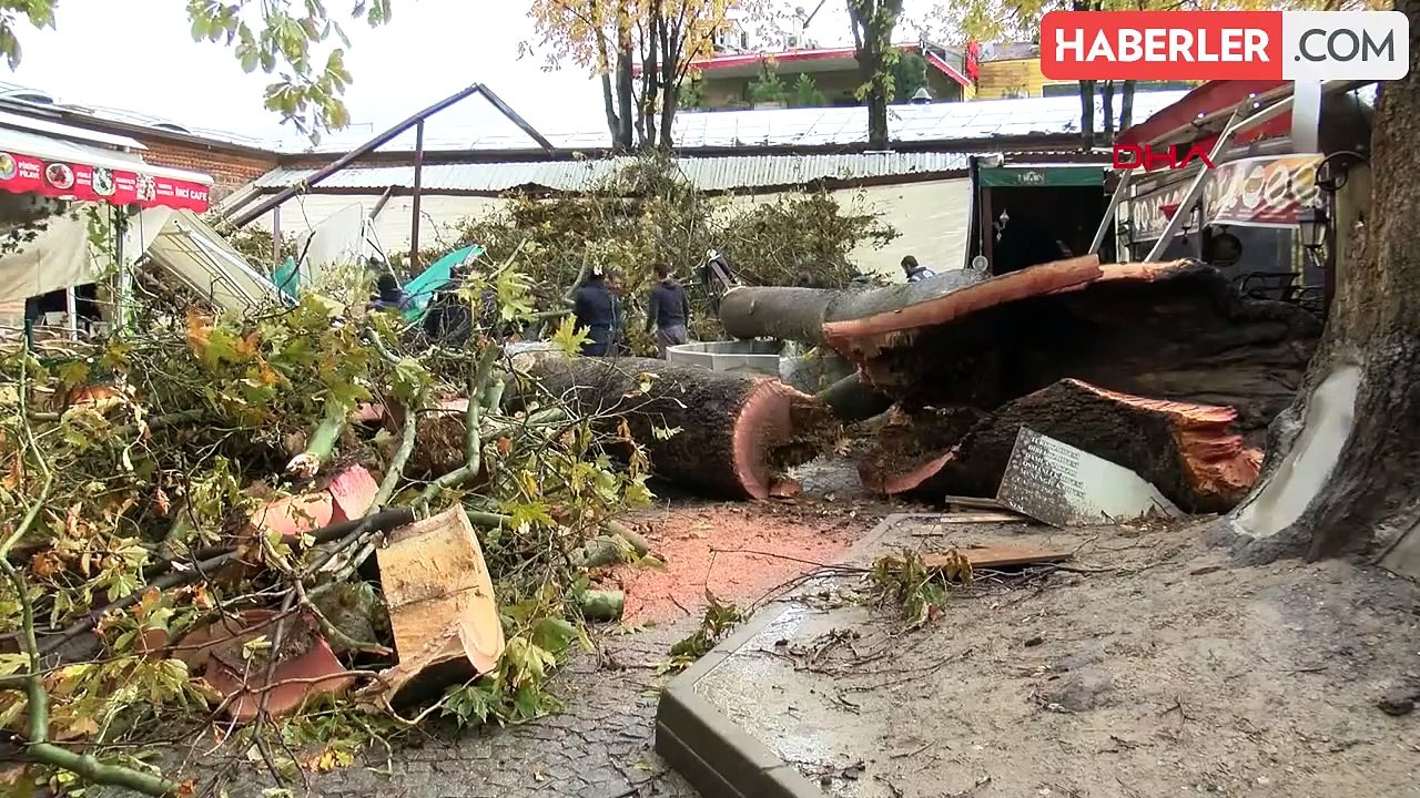 Bursa'da Devrilen Ağaçlar Yakacak Olarak Dağıtılıyor