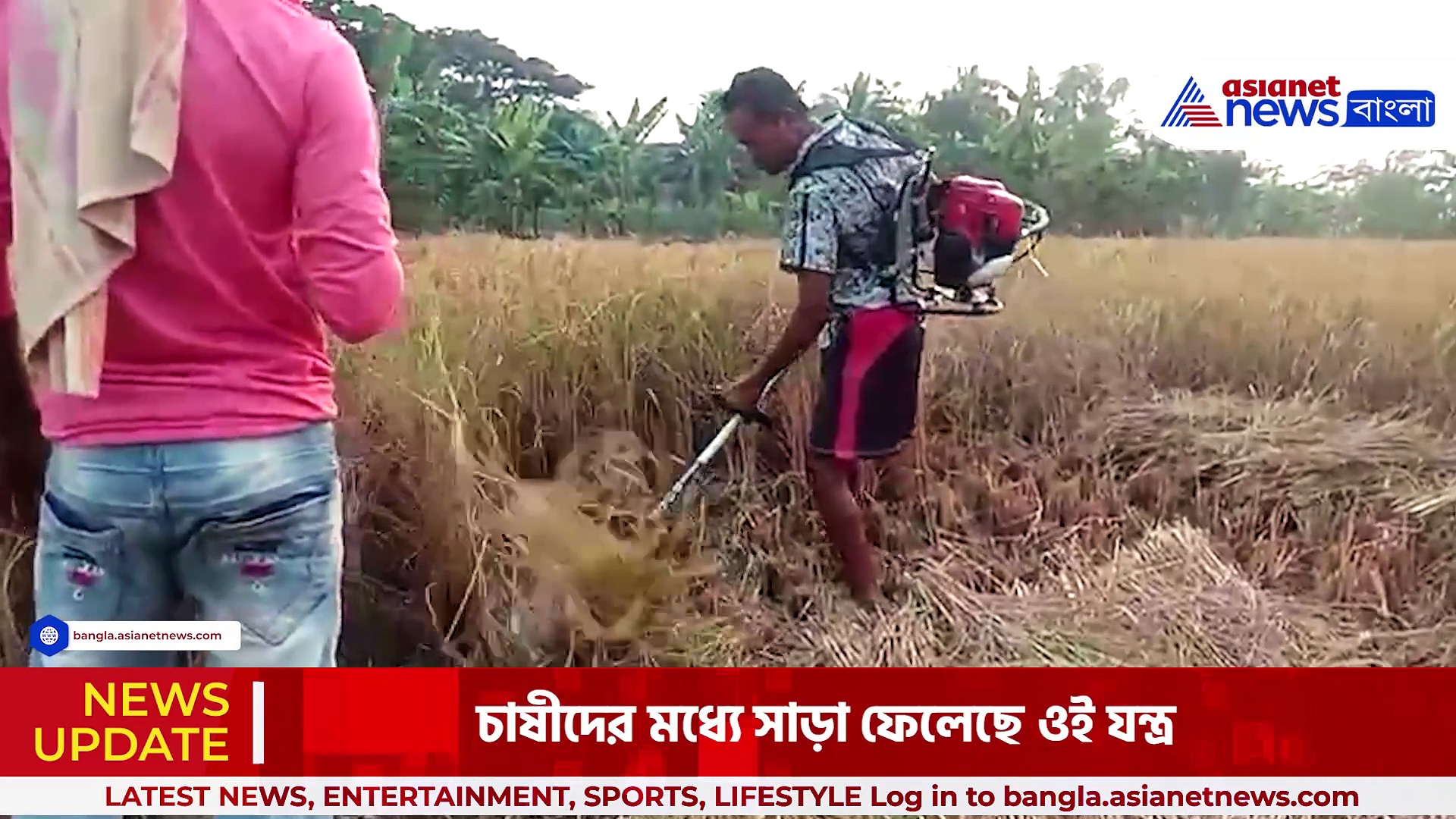 সুন্দরবনে আধুনিক প্রযুক্তিতে বিঘের পর বিঘে জমির ধান কাটা হচ্ছে নিমেষেই, দেখুন ভিডিও