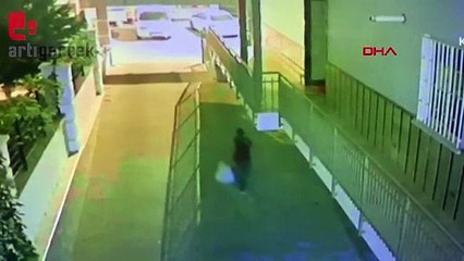 Cips yiyerek hırsızlık yaptı