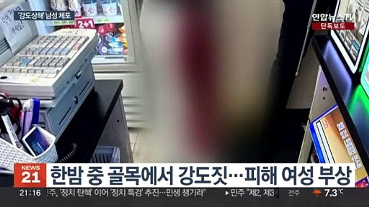 [단독] 가방 빼앗으려 흉기로 여성 찔러…30대 강도 검거