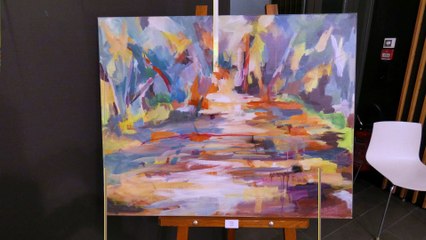 Brumath Exposition Daniel Jung Décembre 2023