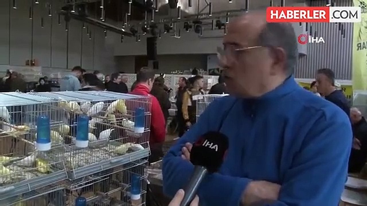 Eyüpsultan'da Kanarya ve Kafes Kuşları Festivali Devam Ediyor