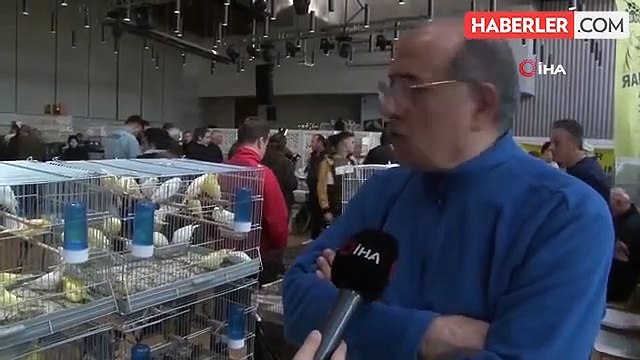 Eyüpsultan'da Kanarya ve Kafes Kuşları Festivali Devam Ediyor