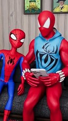 Scarlet Spiderman vs Spectacular Spiderman - The Little Brother - Marvel Animation