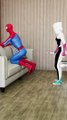 Spiderman vs Spider Gwen - Gwen gave Spiderman an injection - Marvel Animation
