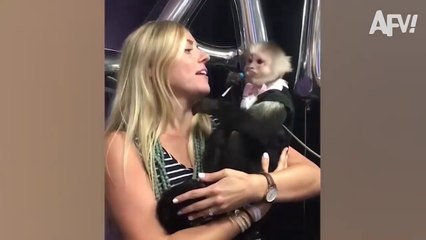 Wildlife Gone Wild - What Were They Thinking