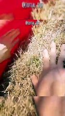 افعالك ستطاردك مهما هاولت الهرب منها