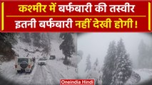 Jammu & Kashmir SnowFall: डोडा जिले के भद्रवाह में ताजा बर्फबारी, खुश हुए पर्यटक | वनइंडिया हिंदी