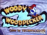 Woody Woodpecker : Bête comme un Renard - Une Aventure Farfelue avec le Pic Bois le Plus Amusant de l'Animation.