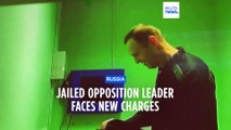 Russia's jailed opposition leader Alexei Navalny faces more charges