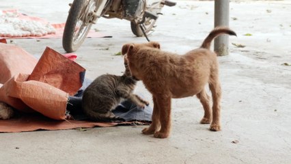 pexels-khanhhoangminh-10252657 (2160p)