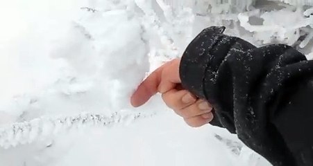 Urbión, cubierto por la nieve