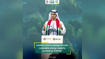 Leaders endorse pledge to triple renewable energy capacity by 2030 at "COP28"