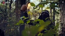 مسلسل المؤسس عثمان الموسم الخامس - الحلقة 7 - مدبلج