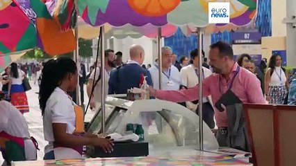 COP 28 : 116 pays s'engagent pour tripler les énergies renouvelables