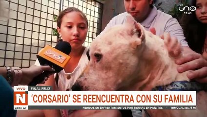 El emotivo reencuentro de una familia con su perro luego de dos años