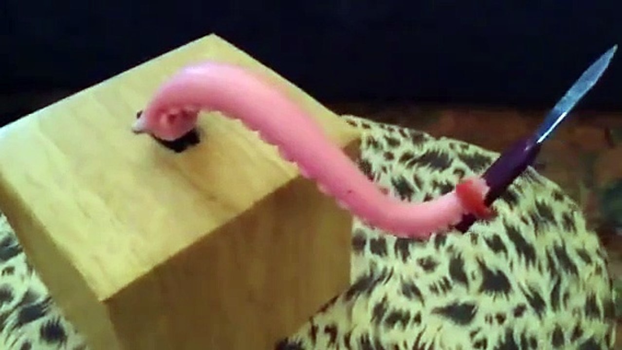 'Littlebits | funny | funny video | funny  videos 2023 | funny video download | funny videos short | funny videos for kids | funny video clips | funny videos 2023 tiktok | funny videos 2022 |  funny videos youtube