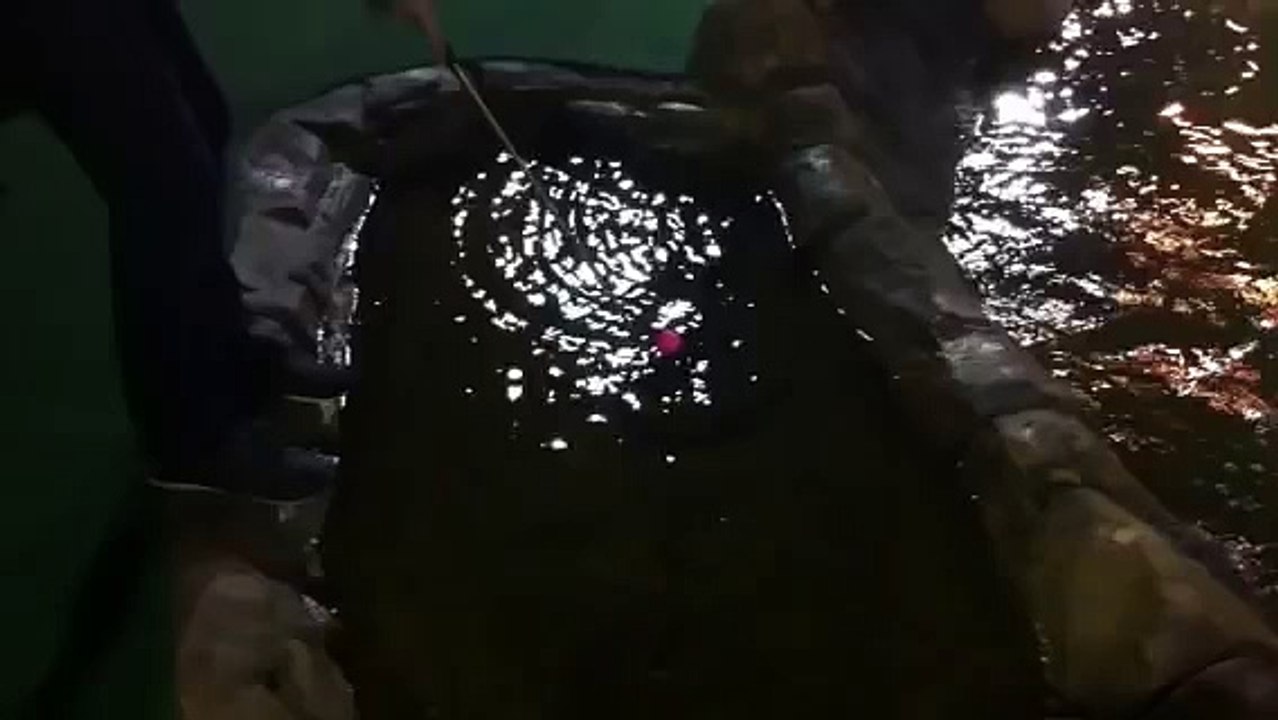 Greatest | funny | funny video | funny  videos 2023 | funny video download | funny videos short | funny videos for kids | funny video clips | funny videos 2023 tiktok | funny videos 2022 |  funny videos youtube