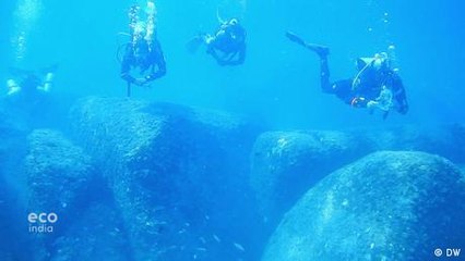 Conserving marine biodiversity with Goa's coral adoption scheme