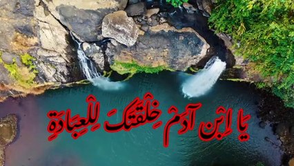 يَا اِبْن آدَمْ خِلْقَتَكَ لِلْعِبَادَةِ للشيخ محمد متولي الشعراوي